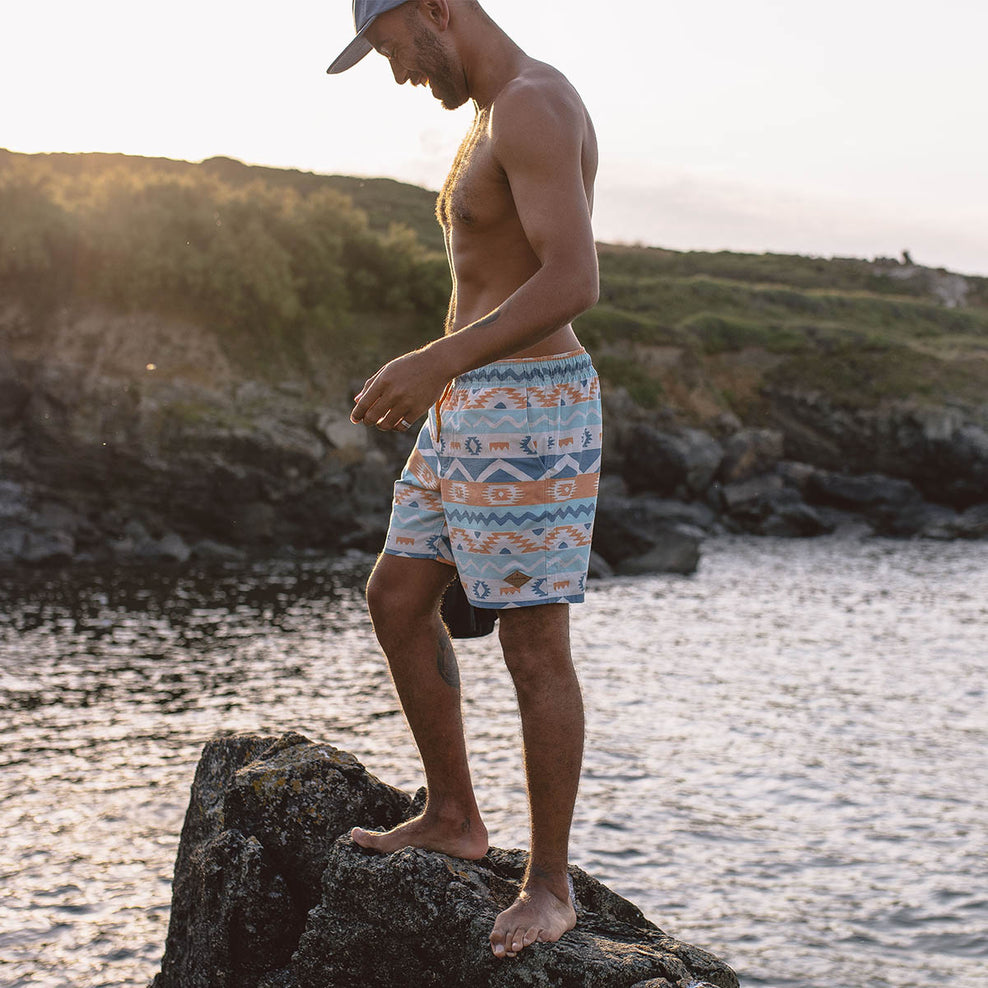 Passenger Backcountry Shorts Multi Geo Stripe