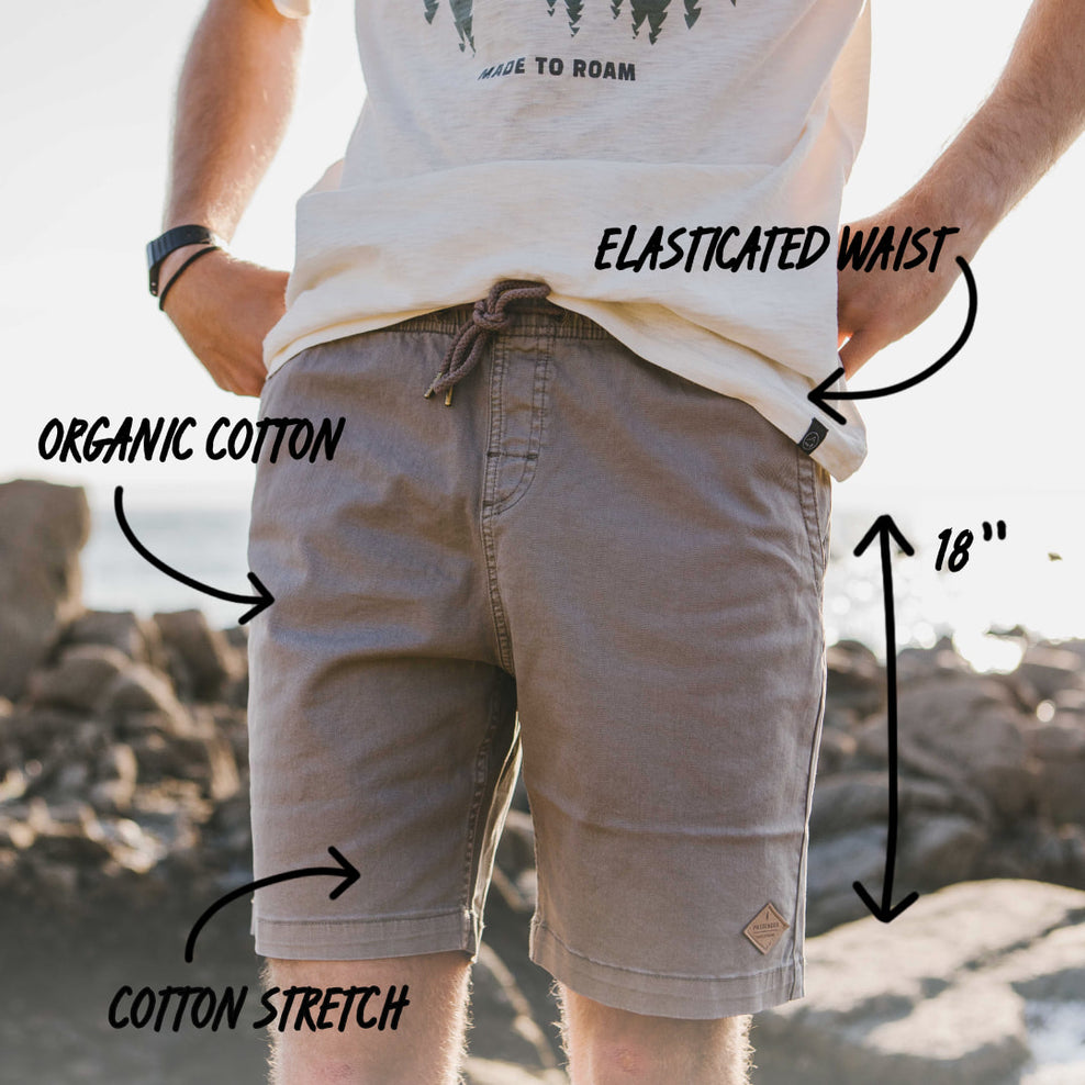 Passenger Drifter Walk Short Taupe