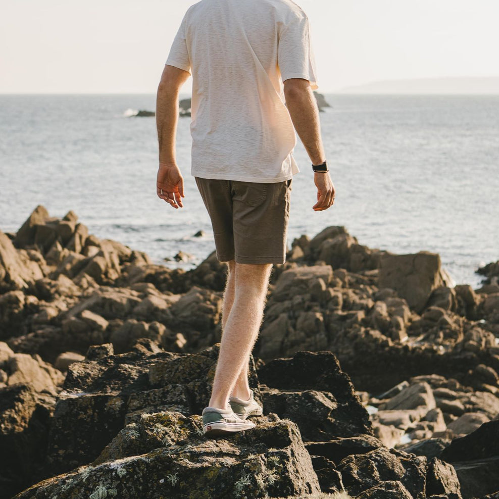 Passenger Drifter Walk Short Taupe