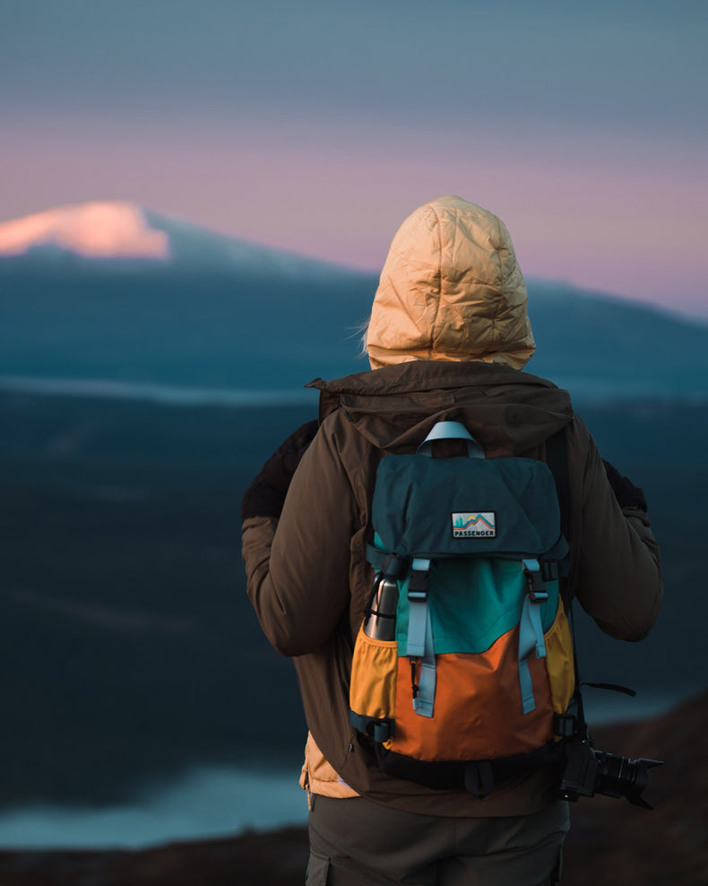 Passenger Boondocker Recycled 26L Backpack Multi Colour