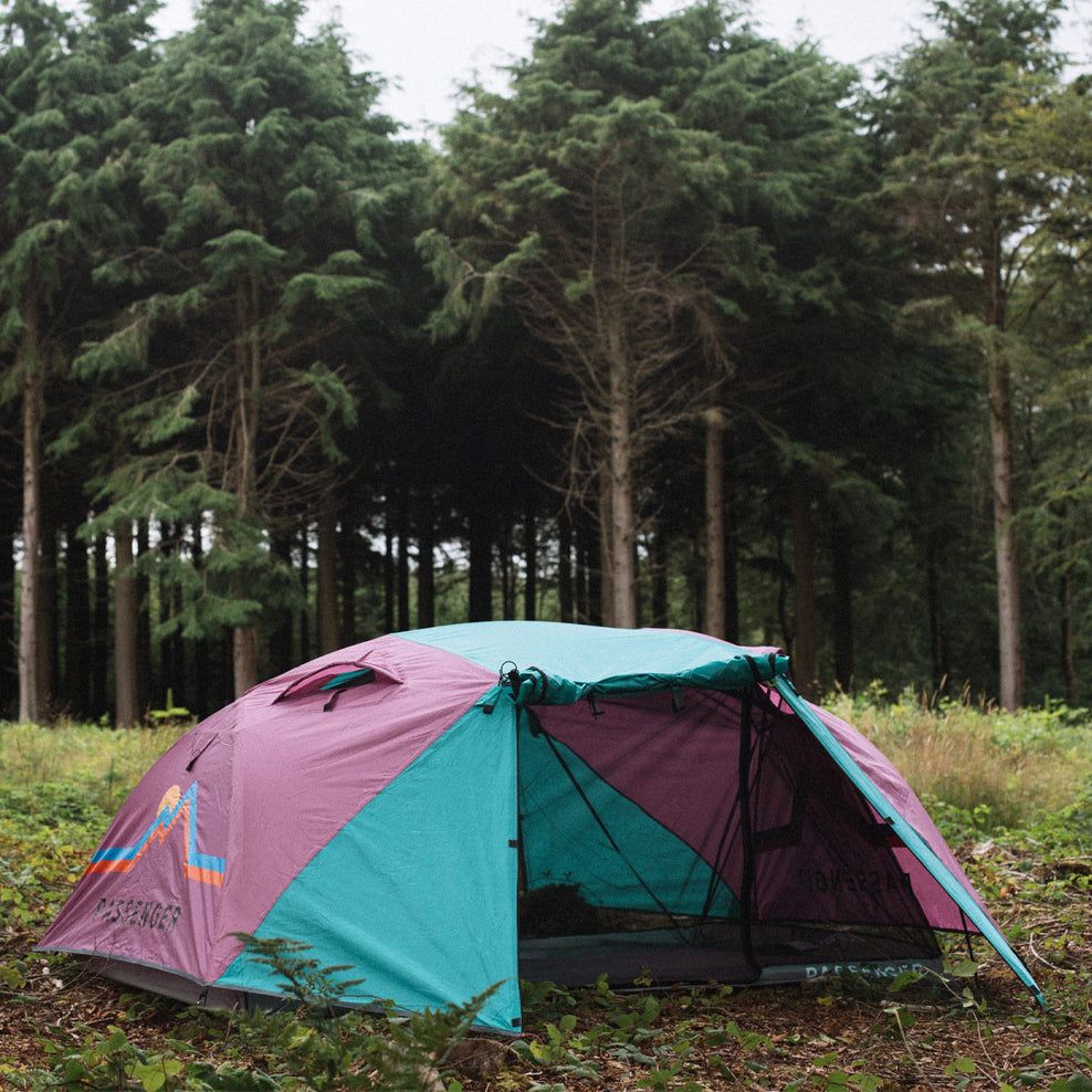 Passenger Stay Grounded 2 Person Tent Virdian Green/Orchid