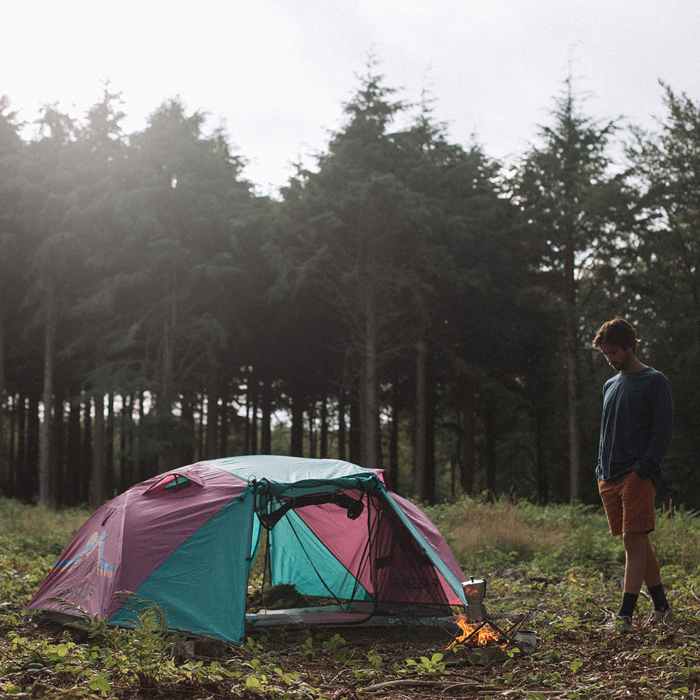 Passenger Stay Grounded 2 Person Tent Virdian Green/Orchid