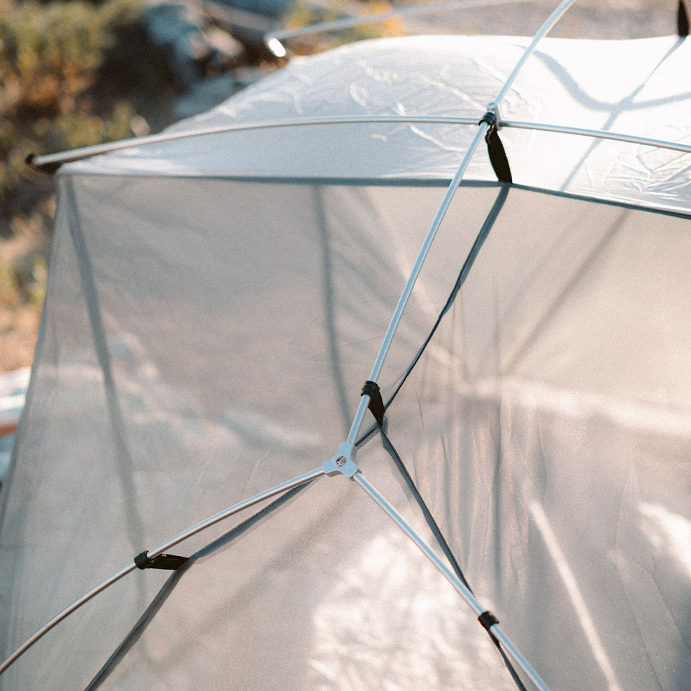 Passenger Stay Grounded 2 Person Tent Virdian Green/Orchid