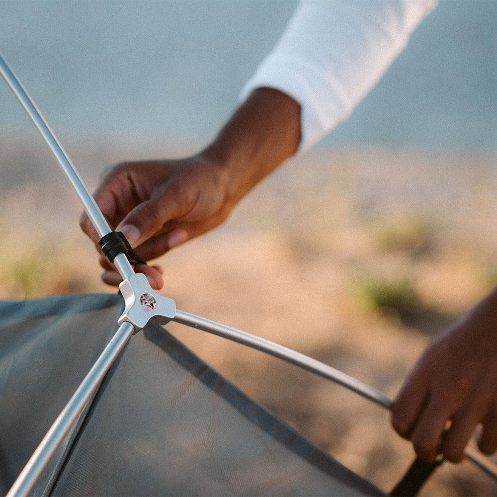 Passenger Stay Grounded 2 Person Tent Virdian Green/Orchid