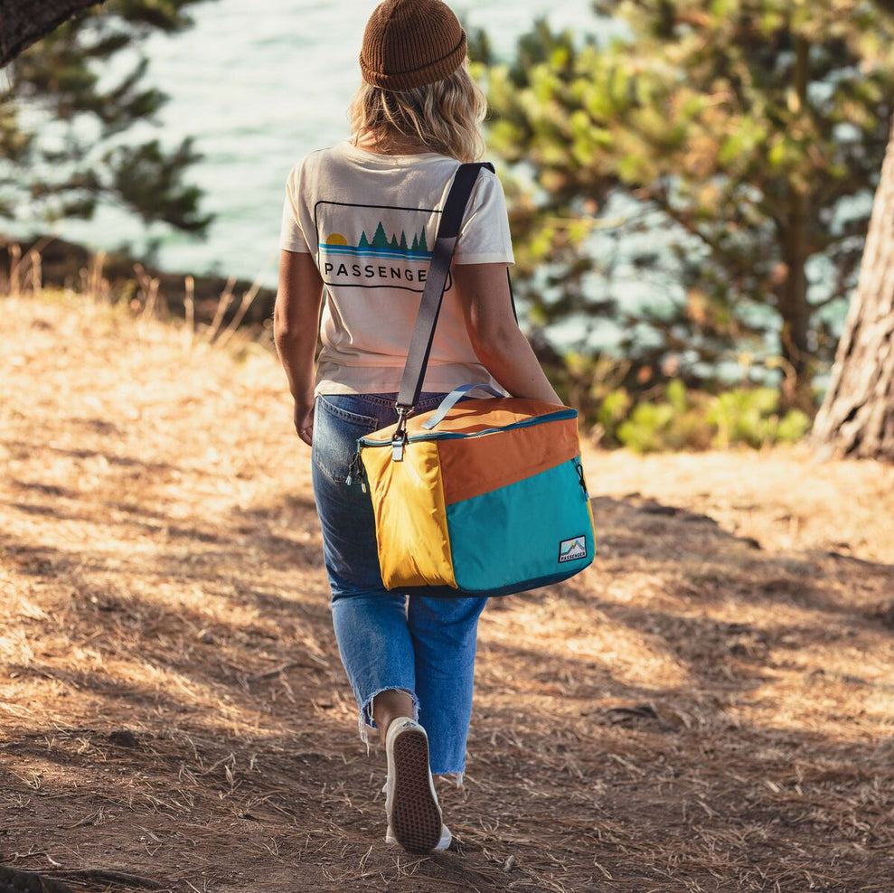 Passenger Day Pack Recycled Cooler Bag Multi Colour