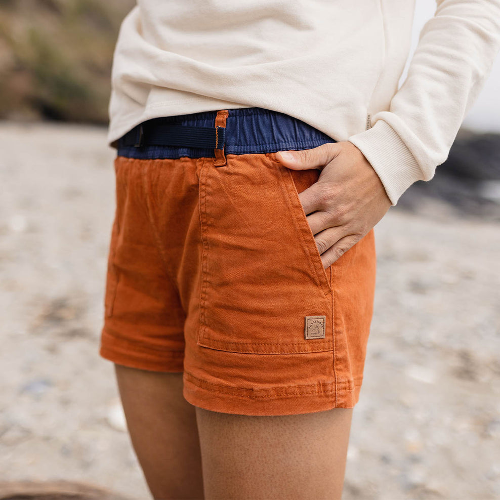 Passenger Del Sur Organic Cotton Shorts Bombay Brown