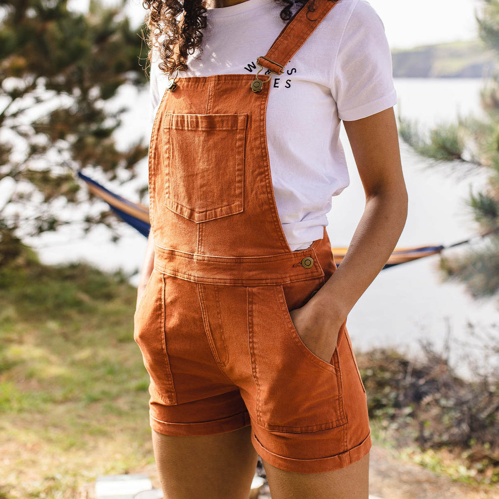 Passenger Roamologist Organic Cotton Dungarees Bombay Brown